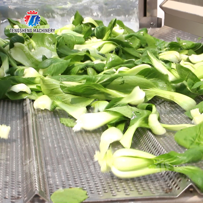 Year 2025 Fruit And Vegetable Packaging Machine for Market