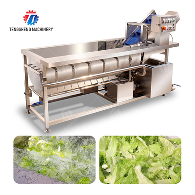 Cleaning processing production Machine Vortex vegetable washing machine red beans  mung beans  green peas beans canning Potato  Potatoes and round tuber crops Carrots and longitudinal root vegeta
