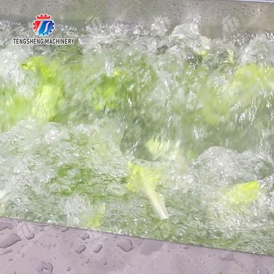 Cleaning processing production Machine Vortex vegetable washing machine red beans  mung beans  green peas beans canning Potato  Potatoes and round tuber crops Carrots and longitudinal root vegeta