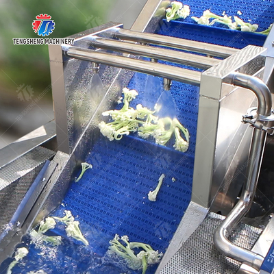 Cleaning processing production Machine Vortex vegetable washing machine red beans  mung beans  green peas beans canning Potato  Potatoes and round tuber crops Carrots and longitudinal root vegeta