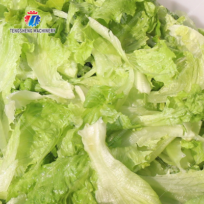 Cleaning processing production Machine Vortex vegetable washing machine red beans  mung beans  green peas beans canning Potato  Potatoes and round tuber crops Carrots and longitudinal root vegeta