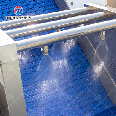 Cleaning processing production Machine Vortex vegetable washing machine red beans  mung beans  green peas beans canning Potato  Potatoes and round tuber crops Carrots and longitudinal root vegeta