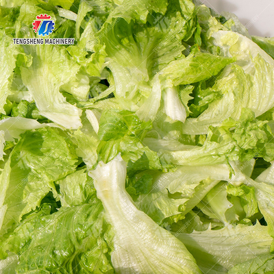 Cleaning processing production Machine Vortex vegetable washing machine red beans  mung beans  green peas beans canning Potato  Potatoes and round tuber crops Carrots and longitudinal root vegeta