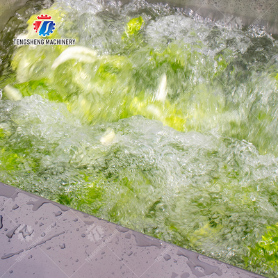 Cleaning processing production Machine Vortex vegetable washing machine red beans  mung beans  green peas beans canning Potato  Potatoes and round tuber crops Carrots and longitudinal root vegeta