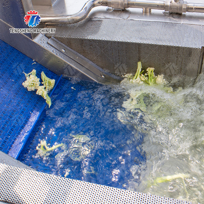 Cleaning processing production Machine Vortex vegetable washing machine red beans  mung beans  green peas beans canning Potato  Potatoes and round tuber crops Carrots and longitudinal root vegeta