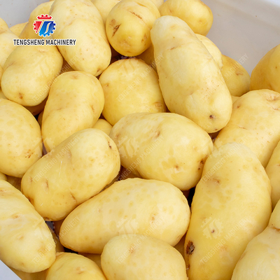 Fruit Orange Vegetable Leaves Vegetables sward beans  soybeans  green beans  chickpeas beans  red beans  mung beans  green peas beans canning Potato Screw shaft brush machine