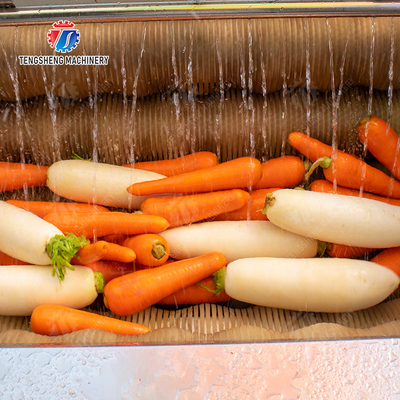Potato Carrot Taro Sweet potato Yam Saiko persimmon Brush washing and peeling machine processing production Destoning Supplying