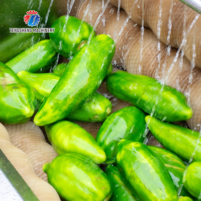 Potato Carrot Taro Sweet potato Yam Saiko persimmon Brush washing and peeling machine processing production Destoning Supplying