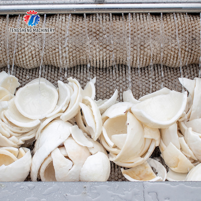 Potato Carrot Taro Sweet potato Yam Saiko persimmon Brush washing and peeling machine processing production Destoning Supplying