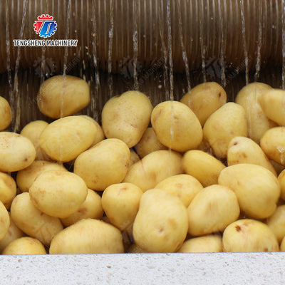 Wash Washer Washing Cleaning processing production Destoning Supplying soybeans  Potato Carrot Taro Sweet potato Yam Saiko persimmon Sealed cover brush peeling machine