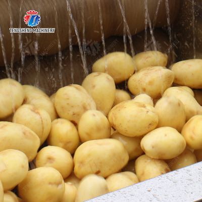 Wash Washer Washing Cleaning processing production Destoning Supplying soybeans  Potato Carrot Taro Sweet potato Yam Saiko persimmon Sealed cover brush peeling machine