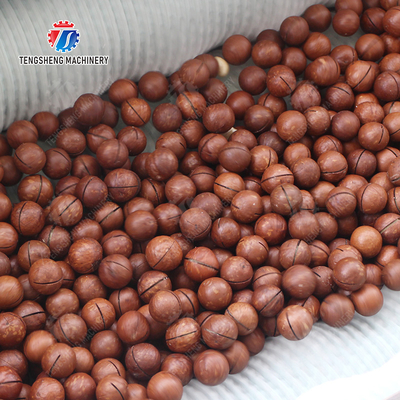 Wash Washer Washing Cleaning processing production Destoning Supplying soybeans  Potato Carrot Taro Sweet potato Yam Saiko persimmon Sealed cover brush peeling machine