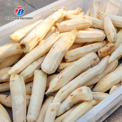 Wash Washer Washing Cleaning processing production Destoning Supplying soybeans  Potato Carrot Taro Sweet potato Yam Saiko persimmon Sealed cover brush peeling machine