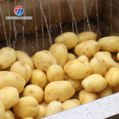 Ginger Potato Carrot Taro Sweet potato Yam Saiko persimmon papaya horseshoe Sealed Cover Type Peeling Machine Wash Washer Washing Cleaning