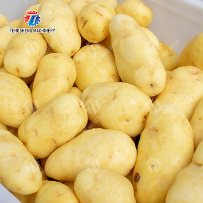Ginger Potato Carrot Taro Sweet potato Yam Saiko persimmon papaya horseshoe Sealed Cover Type Peeling Machine Wash Washer Washing Cleaning