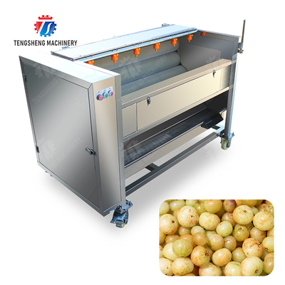 Fruit Vegetable Potatoes and round tuber crops Carrots and longitudinal root vegetables Ginger Potato Carrot Taro Sweet potato Yam Saiko persimmon Roller brush washing and peeling machine with spray
