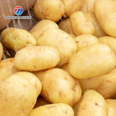 Fruit Vegetable Potatoes and round tuber crops Carrots and longitudinal root vegetables Ginger Potato Carrot Taro Sweet potato Yam Saiko persimmon Roller brush washing and peeling machine with spray