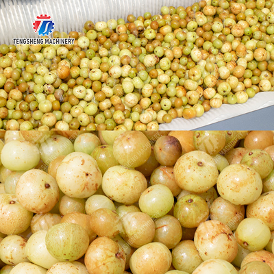 Fruit Vegetable Potatoes and round tuber crops Carrots and longitudinal root vegetables Ginger Potato Carrot Taro Sweet potato Yam Saiko persimmon Roller brush washing and peeling machine with spray