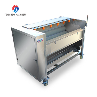 Fruit Vegetable Potatoes and round tuber crops Carrots and longitudinal root vegetables Ginger Potato Carrot Taro Sweet potato Yam Saiko persimmon Roller brush washing and peeling machine with spray