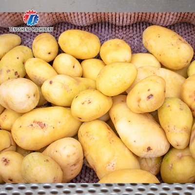 Fruit Vegetable Potatoes and round tuber crops Carrots and longitudinal root vegetables Ginger Potato Carrot Taro Sweet potato Yam Saiko persimmon Roller brush washing and peeling machine with spray