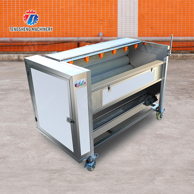 Fruit Vegetable Potatoes and round tuber crops Carrots and longitudinal root vegetables Ginger Potato Carrot Taro Sweet potato Yam Saiko persimmon Roller brush washing and peeling machine with spray