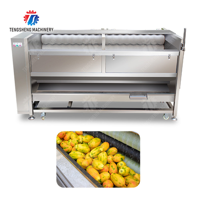 Large scale brush Washing cleaning and peeling machine Ginger Potato Carrot Taro Sweet potato Yam Saiko persimmon papaya horseshoe macadamia nut