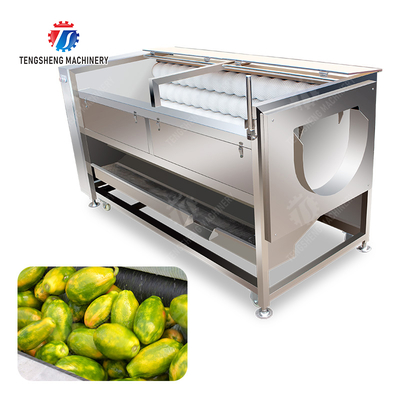 Large scale brush Washing cleaning and peeling machine Ginger Potato Carrot Taro Sweet potato Yam Saiko persimmon papaya horseshoe macadamia nut