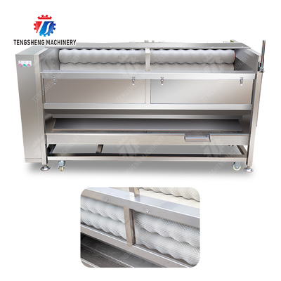 Large scale brush Washing cleaning and peeling machine Ginger Potato Carrot Taro Sweet potato Yam Saiko persimmon papaya horseshoe macadamia nut