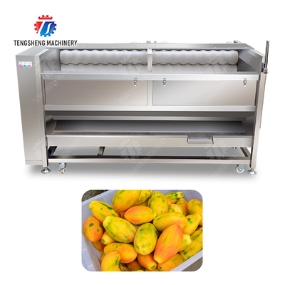 Large scale brush Washing cleaning and peeling machine Ginger Potato Carrot Taro Sweet potato Yam Saiko persimmon papaya horseshoe macadamia nut