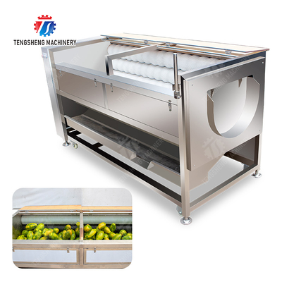 Large scale brush Washing cleaning and peeling machine Ginger Potato Carrot Taro Sweet potato Yam Saiko persimmon papaya horseshoe macadamia nut