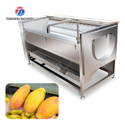 Large scale brush Washing cleaning and peeling machine Ginger Potato Carrot Taro Sweet potato Yam Saiko persimmon papaya horseshoe macadamia nut