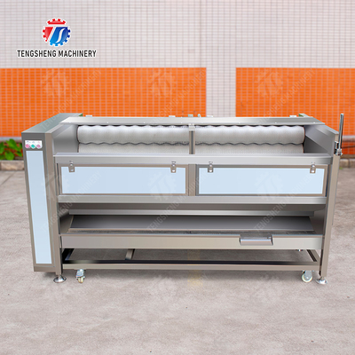Large scale brush Washing cleaning and peeling machine Ginger Potato Carrot Taro Sweet potato Yam Saiko persimmon papaya horseshoe macadamia nut