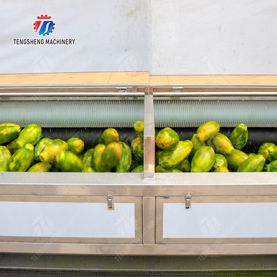 Large scale brush Washing cleaning and peeling machine Ginger Potato Carrot Taro Sweet potato Yam Saiko persimmon papaya horseshoe macadamia nut