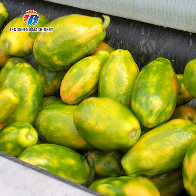 Large scale brush Washing cleaning and peeling machine Ginger Potato Carrot Taro Sweet potato Yam Saiko persimmon papaya horseshoe macadamia nut