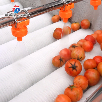 Orange Potato  Onions Ginger Potato Carrot Taro Sweet potato Yam Saiko persimmon papaya horseshoe Simple melon and fruit lifting and brush roller cleaning production line