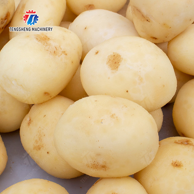 Potato peeling Washing processing production machine Ginger Potato Carrot Taro Sweet potato Yam
