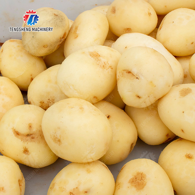 Potato peeling Washing processing production machine Ginger Potato Carrot Taro Sweet potato Yam