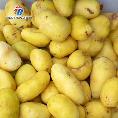 Potato peeling Washing processing production machine Ginger Potato Carrot Taro Sweet potato Yam