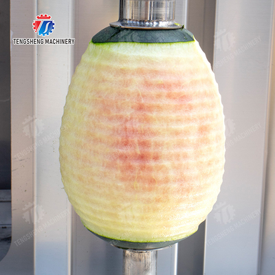 Melon and fruit double head with single cutter peeling machine pineapple Peeling papaya chieh qua pumpkin wax gourd Taro