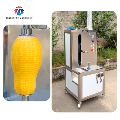 papaya chieh-qua pumpkin wax gourd pineapple Vertical single knife peeling machine watermelon Hami Melon Peeling polishing