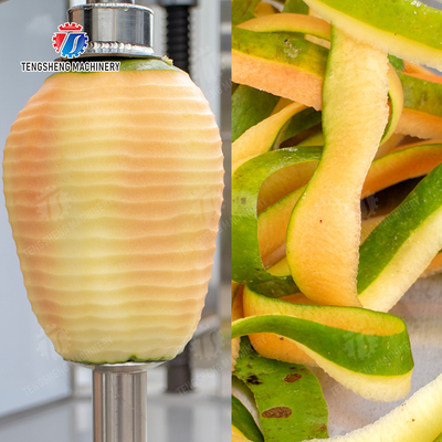 papaya chieh-qua pumpkin wax gourd pineapple Vertical single knife peeling machine watermelon Hami Melon Peeling polishing