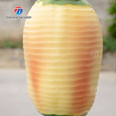 watermelon Hami Melon Vertical one knife peeling machine papaya chieh-qua pumpkin wax gourd pineapple Peeling & polishing