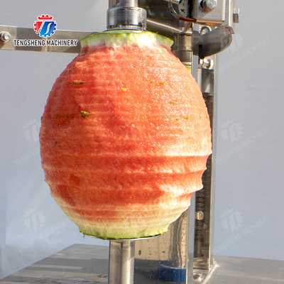 watermelon Hami Melon Vertical one knife peeling machine papaya chieh-qua pumpkin wax gourd pineapple Peeling & polishing