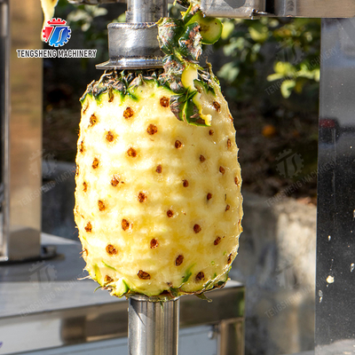 watermelon Hami Melon Vertical one knife peeling machine papaya chieh-qua pumpkin wax gourd pineapple Peeling & polishing