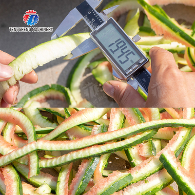 watermelon Hami Melon Vertical one knife peeling machine papaya chieh-qua pumpkin wax gourd pineapple Peeling & polishing