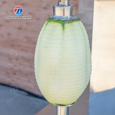 papaya chieh-qua pumpkin wax gourd pineapple Vegetable Vertical double cutter peeling machine processing production
