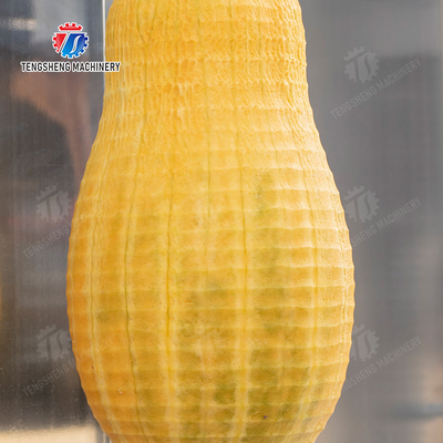 papaya chieh-qua pumpkin wax gourd pineapple Vegetable Vertical double cutter peeling machine processing production