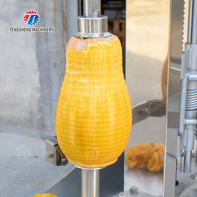 papaya chieh-qua pumpkin wax gourd pineapple Vegetable Vertical double cutter peeling machine processing production