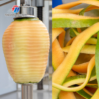 papaya chieh-qua pumpkin wax gourd pineapple Vegetable Vertical double cutter peeling machine processing production
