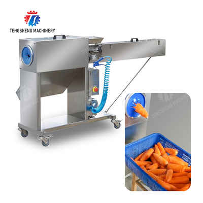 Corrat peeling machine Carrot processing production Destoning Supplying Peeling & polishing